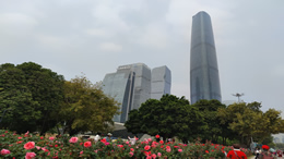 微信更新带来新体验：更便捷的转发与通话功能